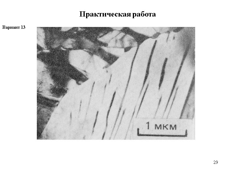 29 29 Практическая работа Вариант 13